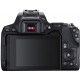 Canon EOS 250D kit 18-55 DC III Black Цифровая фотокамера зеркальная 