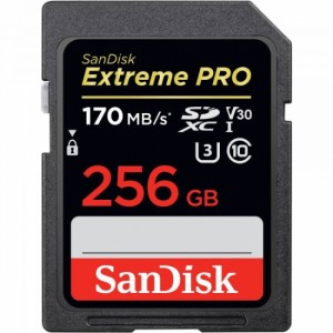 SanDisk Extreme Pro SDXC C10 UHS-I U3 [SDSDXXY-256G-GN4IN] Карта пам'яті 