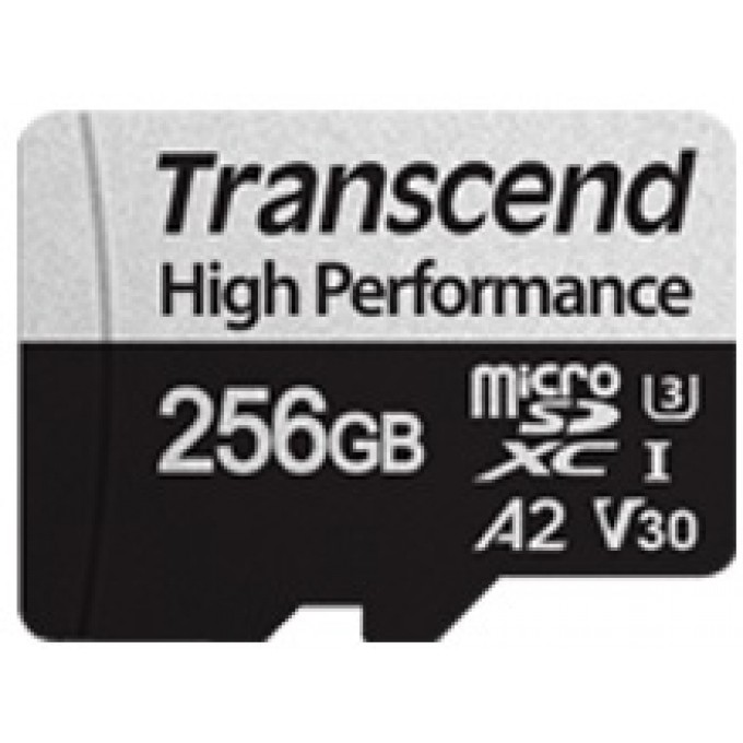 Transcend High Endurance microSDXC 330S [TS256GUSD330S] Карта пам'яті